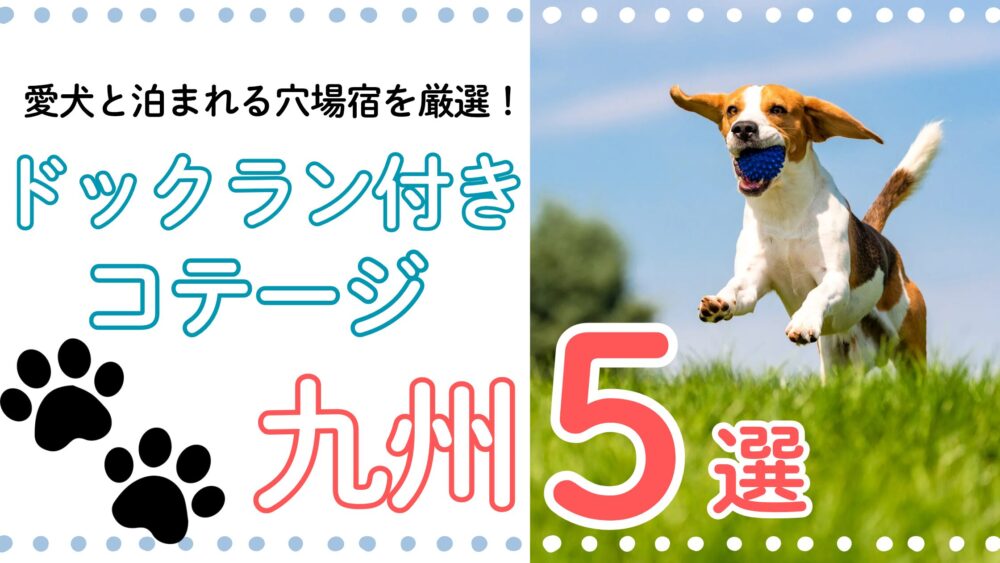 広いドッグラン付きコテージ静岡おすすめ5選｜愛犬と泊まれる穴場宿を厳選！