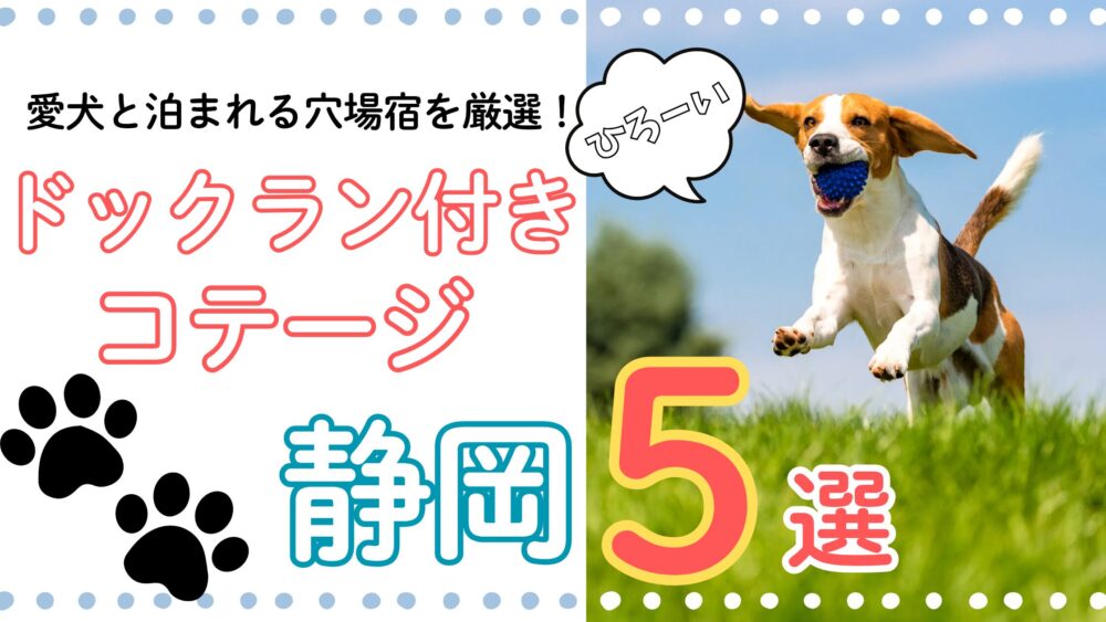 広いドッグラン付きコテージ静岡おすすめ5選｜愛犬と泊まれる穴場宿を厳選！