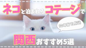 猫と泊まれるコテージで関西おすすめ5選｜穴場宿を厳選！