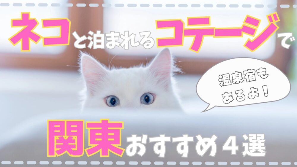 猫と泊まれるコテージで関東おすすめ４選｜温泉宿もあるよ！