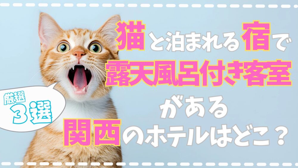 猫と泊まれる宿で露天風呂付き客室がある関西のホテルはどこ？厳選３選をご紹介